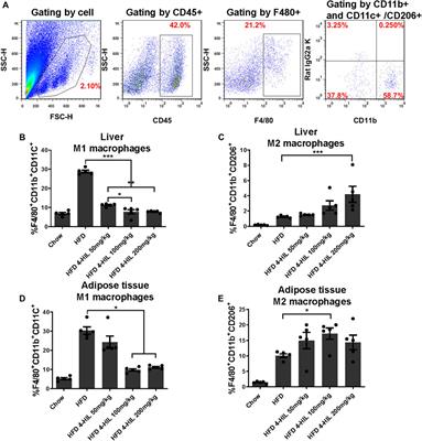 4-Hydroxyisoleucine Alleviates Macrophage-Related Chronic Inflammation and Metabolic Syndrome in Mice Fed a High-Fat Diet